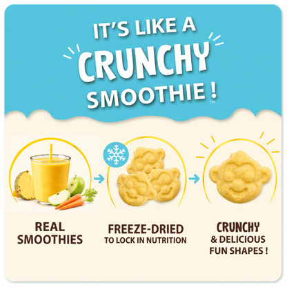 Pineapple Apple - Hapinest | Freeze Dried Fruits & Veggies