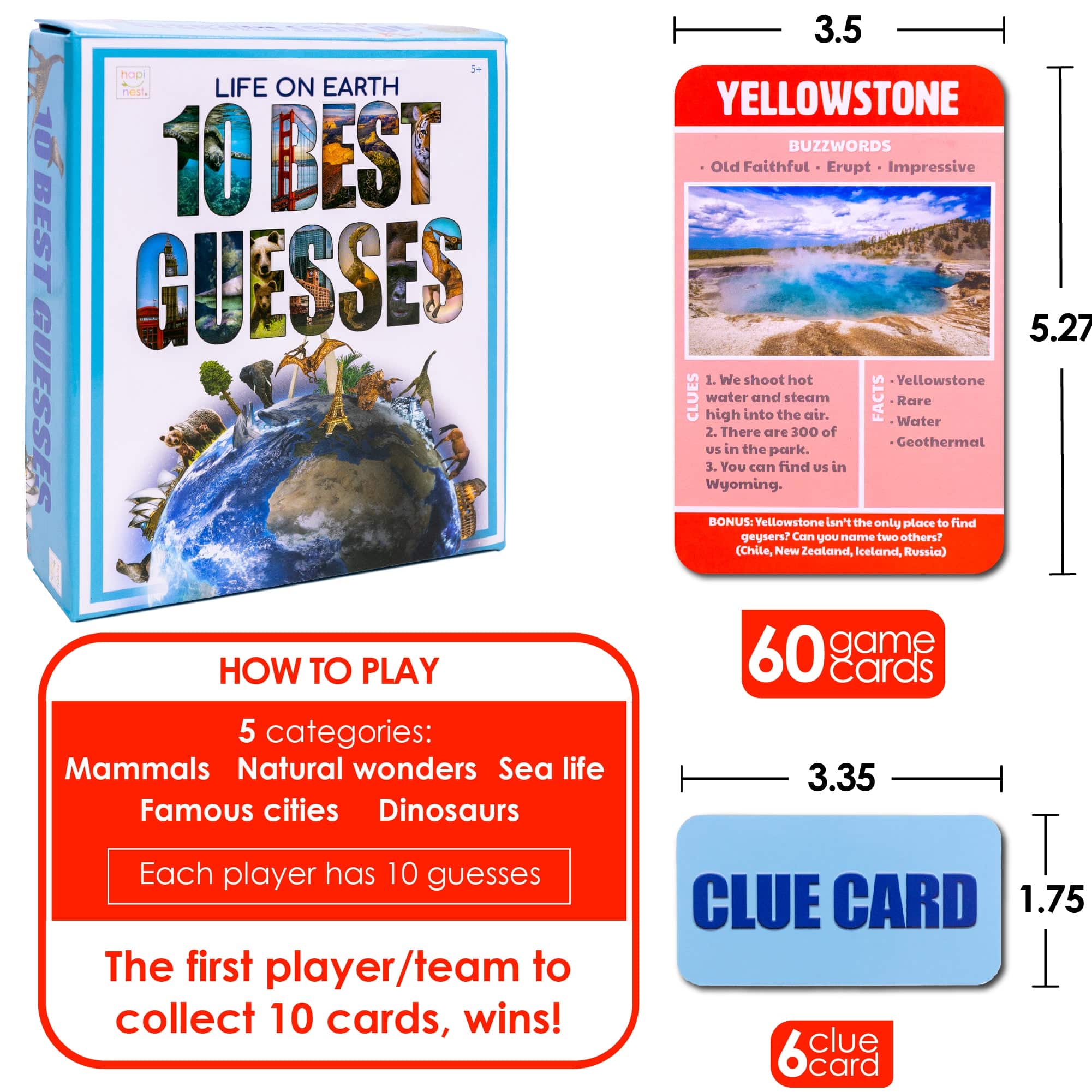 10 Best Guesses Card Game - Hapinest