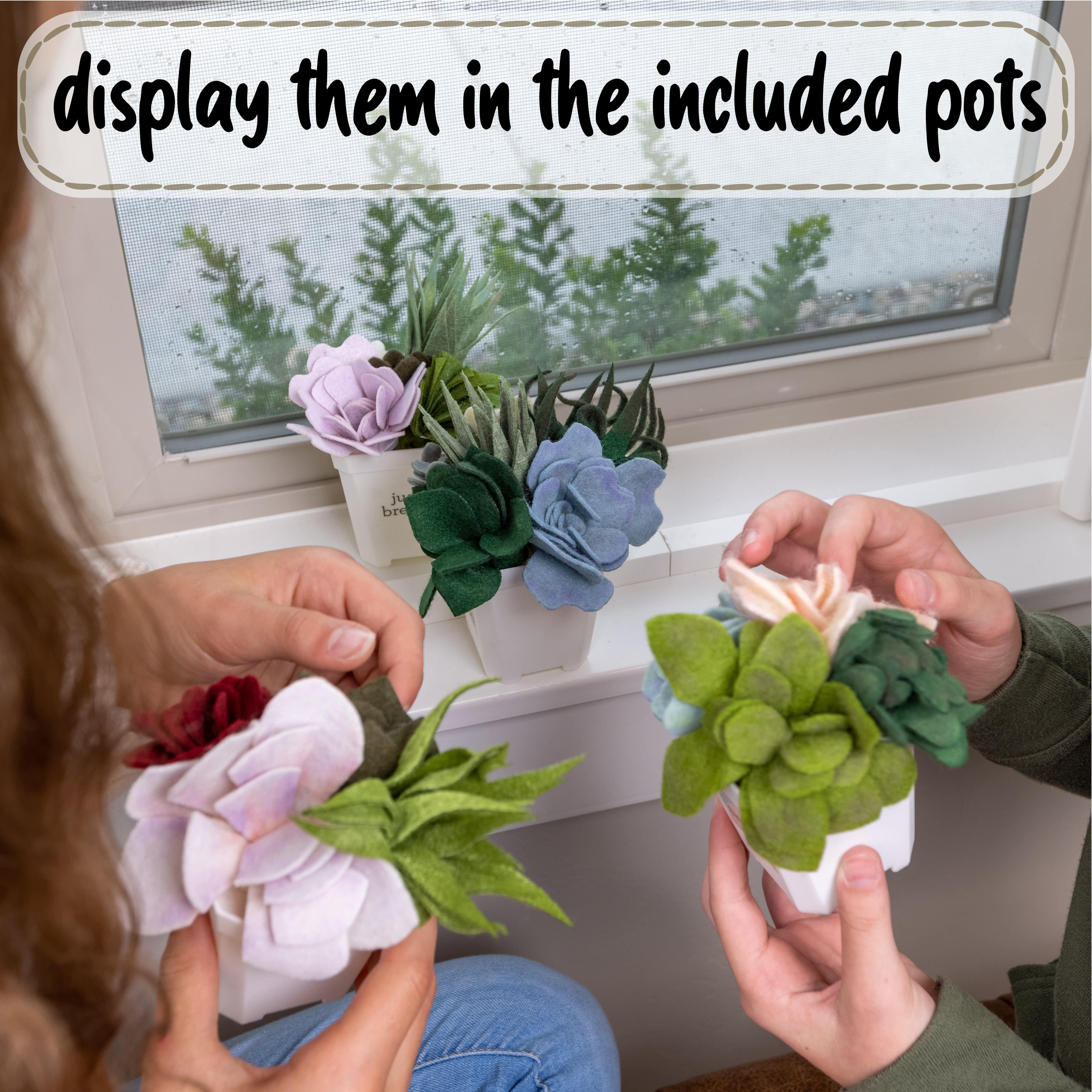 DIY Potted Felt Succulents - Craft Kit - Hapinest