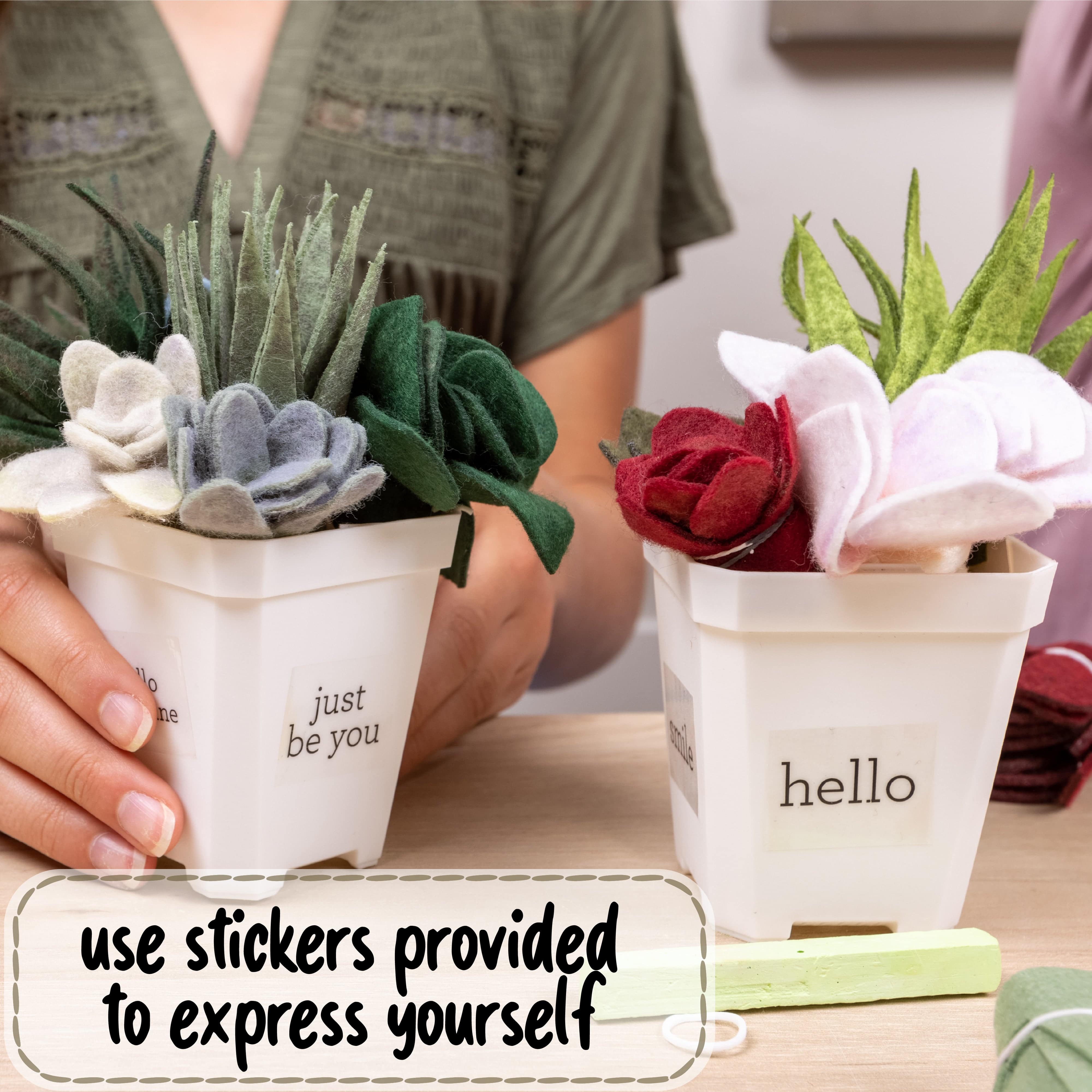 DIY Potted Felt Succulents - Craft Kit - Hapinest