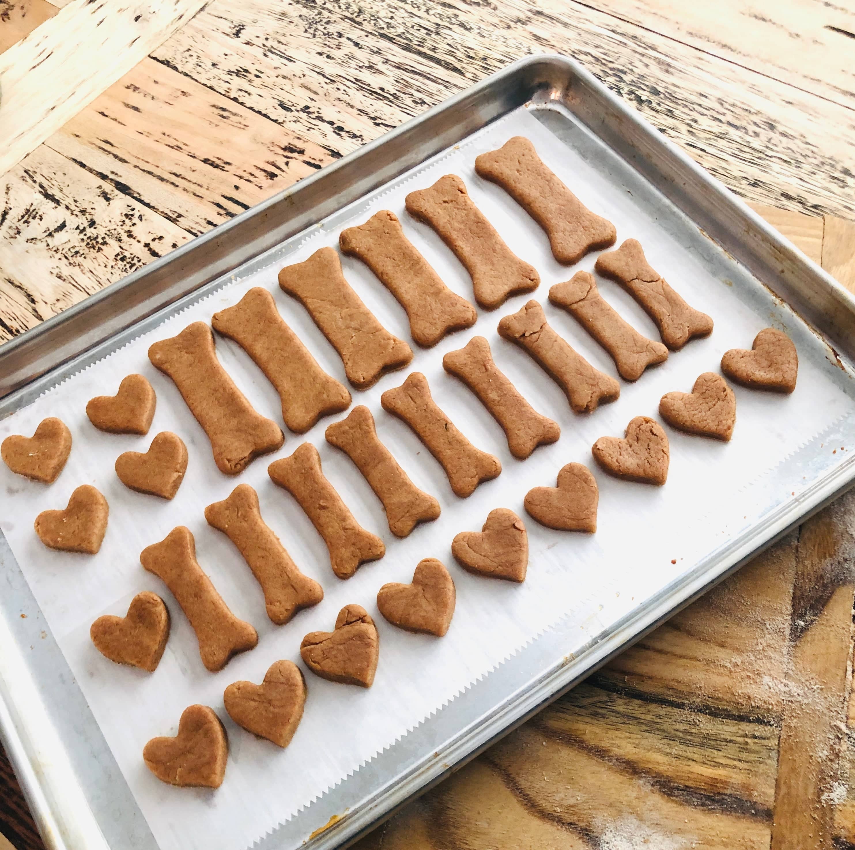 Make Your Own Dog Treat Kit