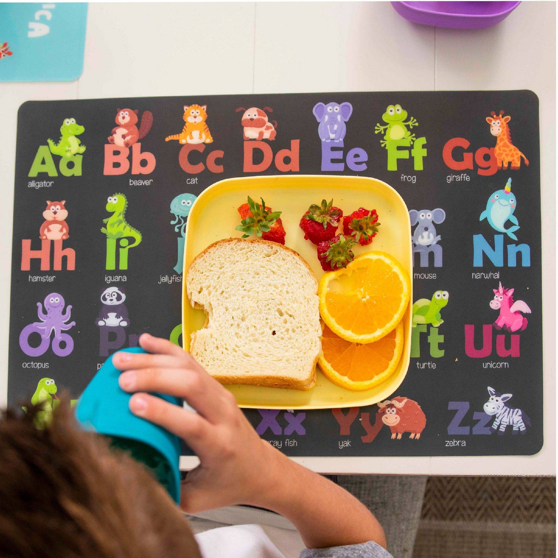 Reusable Educational Placemats (6 Pieces) - Hapinest